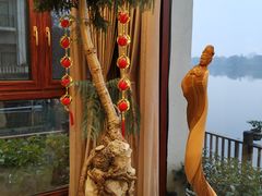 -东湖食堂·湖景餐厅•会议