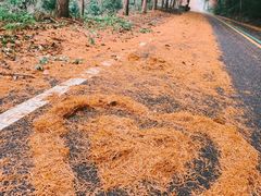 -福清灵石山国家森林公园