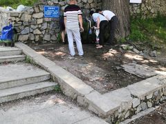 -阳台山自然风景区