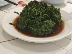 -海金滋(陕西南路店)