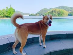 -宁波九龙湖开元度假村