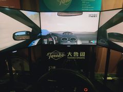 -大鲁阁保龄球(苏州园区店)