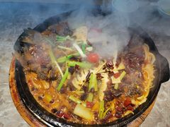 -老板恋上鱼(恒隆广场店)