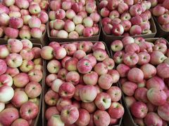 -大连果菜批发市场