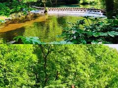 -阿哈湖国家湿地公园