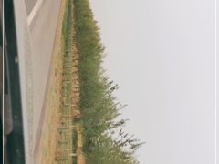 -幸福花欢乐世界(东辰广场A座店)