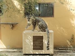 -青藏高原野生动物园