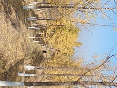 -东升八家郊野公园