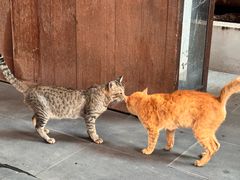 -曼谷国家博物馆