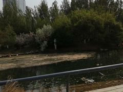 -长白岛森林公园