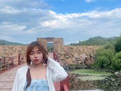 -世界恐龙谷景区