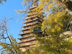 -北京石刻艺术博物馆(五塔寺)