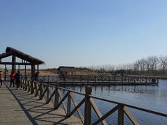 android_upload_pic-溱湖国家湿地公园