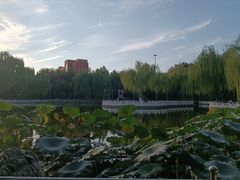 -丰台花园