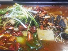 -素行天下(国投财富广场店)