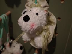 -AIMEEWQ(青岛大鲍岛店)