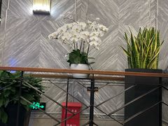 -皇朝会.经典传统粤菜(外滩店)