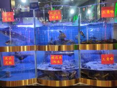 水产区-蛙一刀·麻椒鱼火锅(金仙桥店)