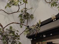 -耳艺采耳·足疗(市桥店)