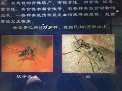 -上海昆虫博物馆