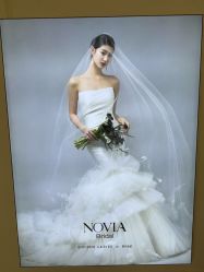 点击看大图 -金夫人婚纱摄影(总店)