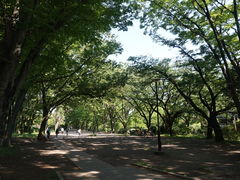 -井之头恩赐公园