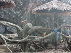-宁波野生动物园