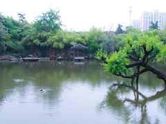 -水绘园