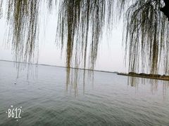 -同里湖大饭店-怡景轩中餐厅(同里古镇店)