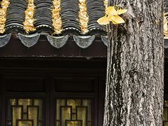 -乌镇东栅景区-修真观