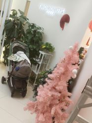 -Two  Monkeys 孕婴写真馆(龙华店)