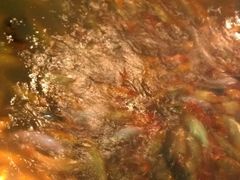 -茅老太臭豆腐