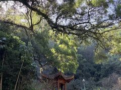 -金鸡山公园