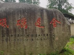 -同里国家湿地公园