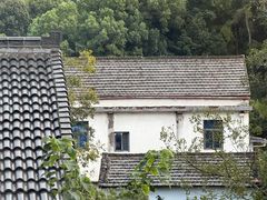 -野蔓果·山野菜(西湖景区·龙井茶田店)