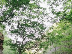 -京东石林峡风景区