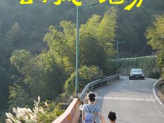 -长沙黑麋峰国家森林公园
