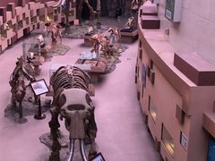 -陕西自然博物馆