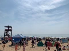-日照海滨国家森林公园