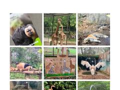 -泉州海丝野生动物世界