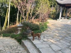 -径山寺