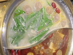 -熊喵来了火锅·牧场好肉(邯郸邯山万达店)