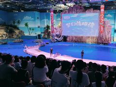 -华夏文旅海洋公园