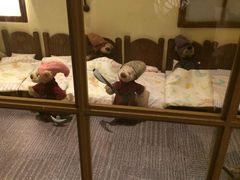 -济州岛泰迪熊博物馆