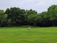 -上海吴淞炮台湾国家湿地公园