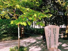 -汇龙潭