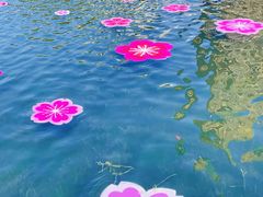 -西北湖绿化广场