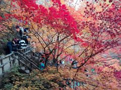 -龙道沟景区