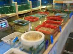 水产区-松兰山海景大酒店·海鲜中餐厅