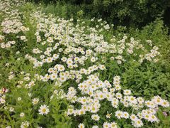 -长白山万达锦华套房酒店